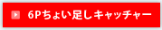 6Pちょい足しキャッチャー
